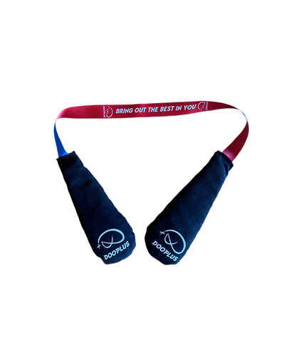 Sachets Désodorisants pour Gants de Boxe DOOPLUS